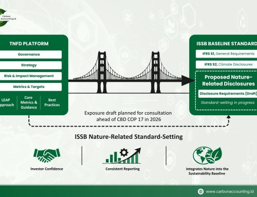 IFRS S3: When Nature Enters the Language of Finance