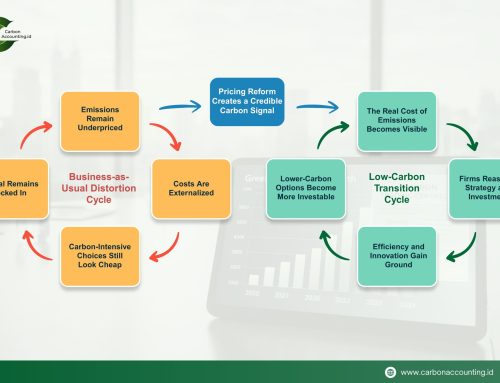 Carbon Pricing Begins as a Signal