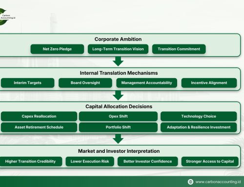 Transition Plans and Capital Allocation