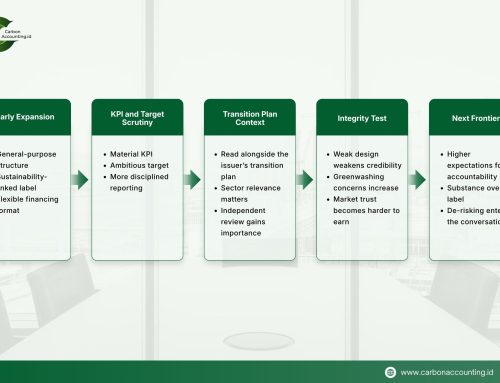 Sustainability-Linked Finance After the Hype