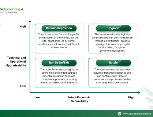 When Sustainability Becomes a Portfolio Decision